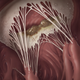 Illustration for article titled These gorgeous medical illustrations look like scenes from another world